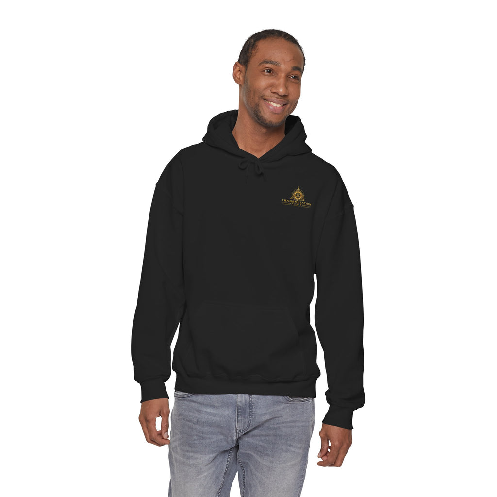 Occult Alchemist Hoodie — Mystical Gold Tarot-Style Backprint