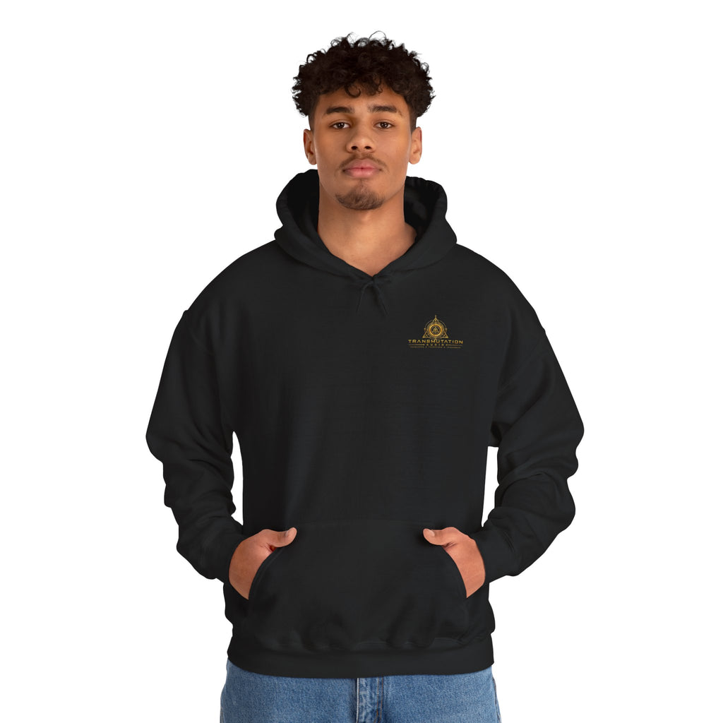Occult Alchemist Hoodie — Mystical Gold Tarot-Style Backprint