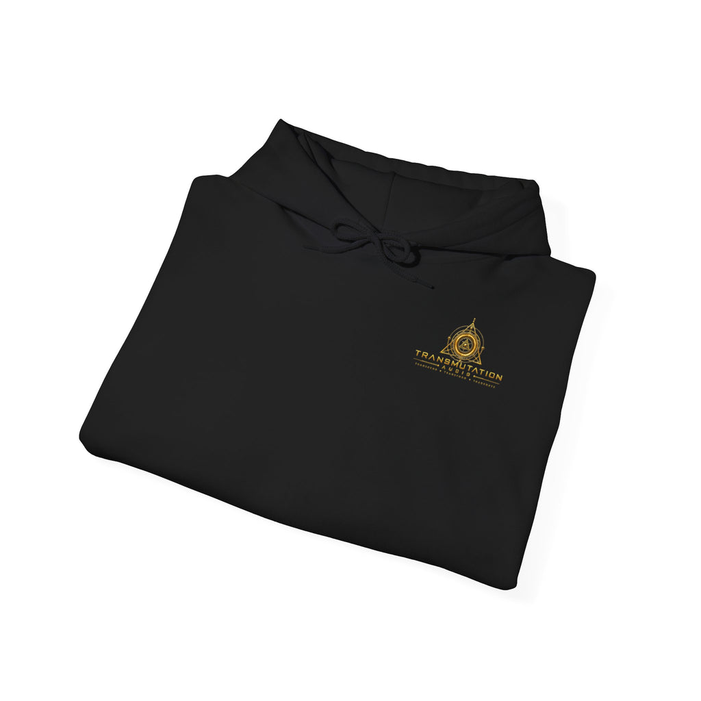 The architect  of sound Hoodie Sacred Geometry